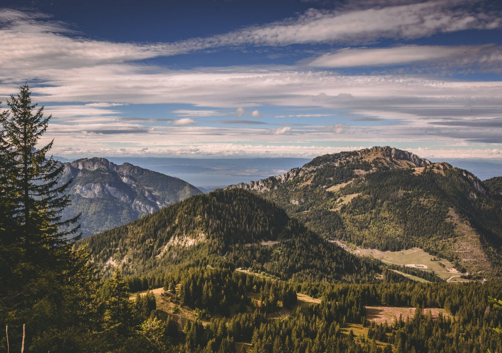 Bone Broth vs. Collagen: Which One Does Your Body Need?